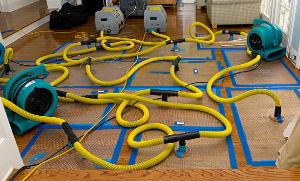 Professional Water Damage Restoration technician working in Apollo Beach, FL